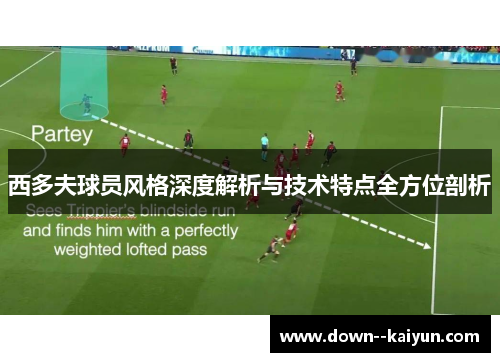 西多夫球员风格深度解析与技术特点全方位剖析