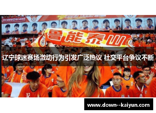 辽宁球迷赛场激动行为引发广泛热议 社交平台争议不断