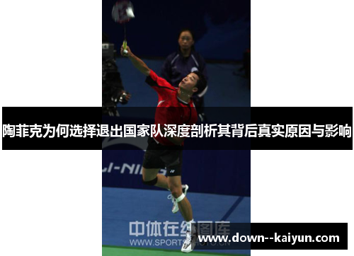 陶菲克为何选择退出国家队深度剖析其背后真实原因与影响